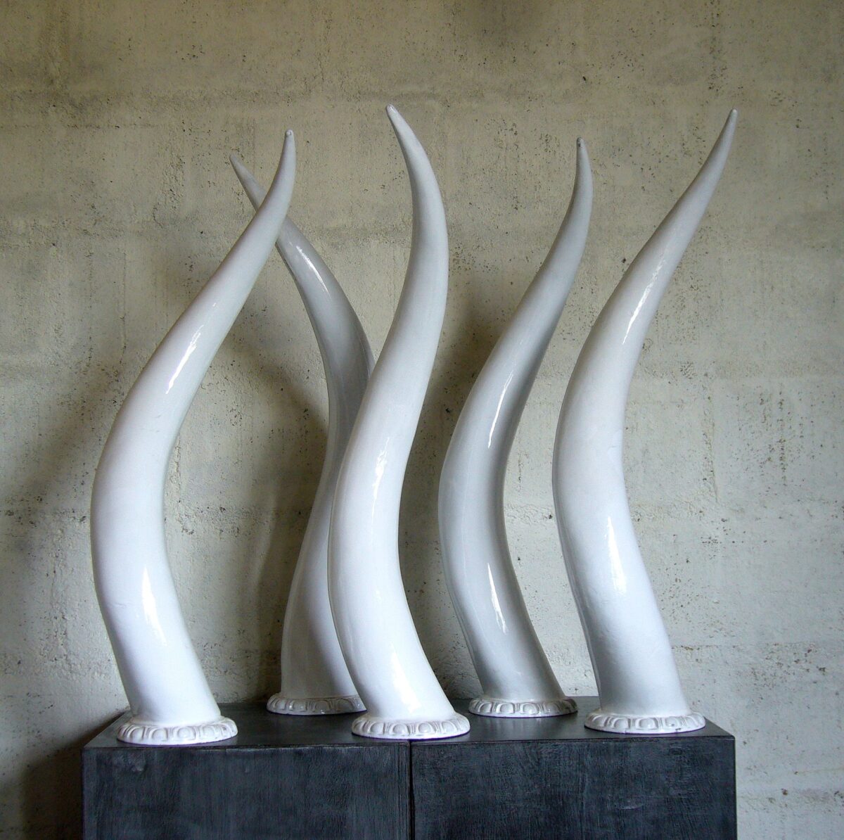 C 059 collection "ANIMAL"