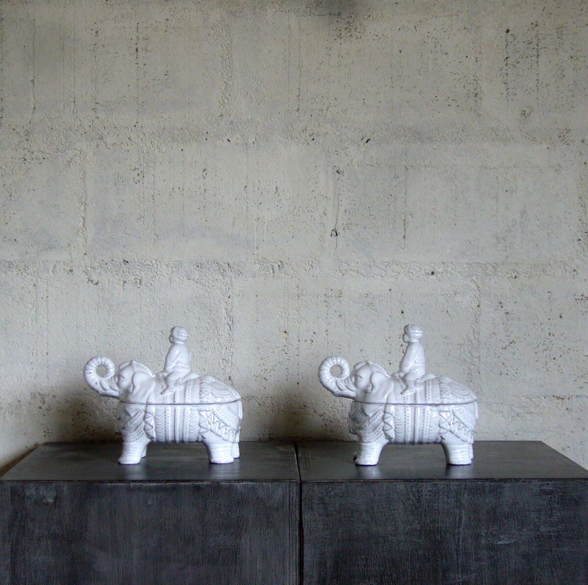 C 070 collection "ELÉPHANT"