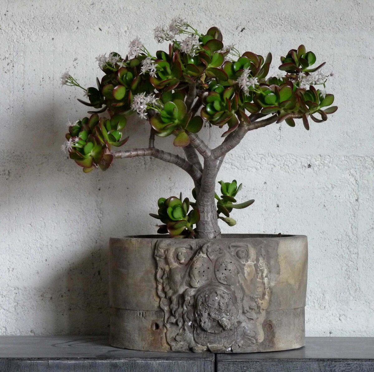 C 073 collection "LION"