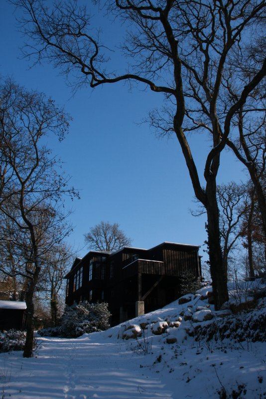 Les Rangs du Bois-Edifice bois – Image 4